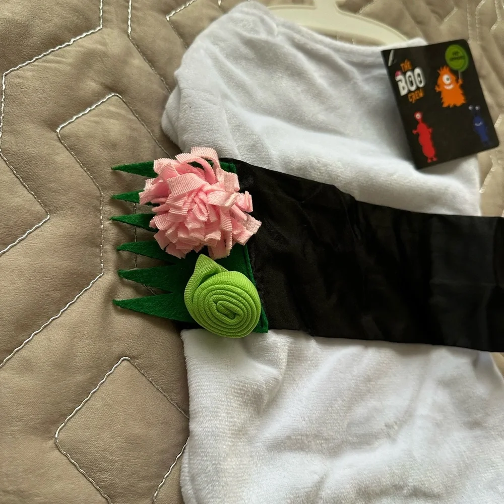 🆕Halloween Pet Costume